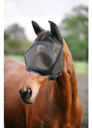 Horse Fly Protection