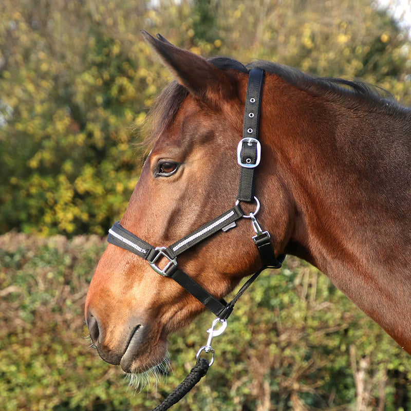 Hy Equestrian Sparkling Headcollar & Lead Rope Set