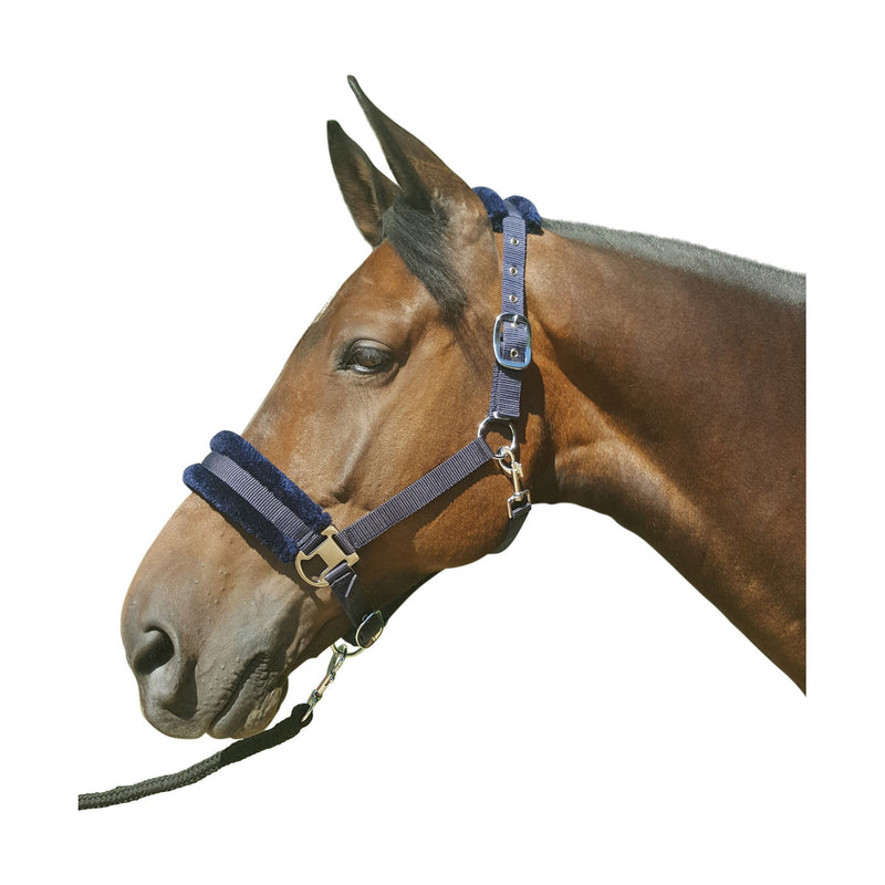 Hy Faux Fur Padded Headcollar with Lead Rope Set