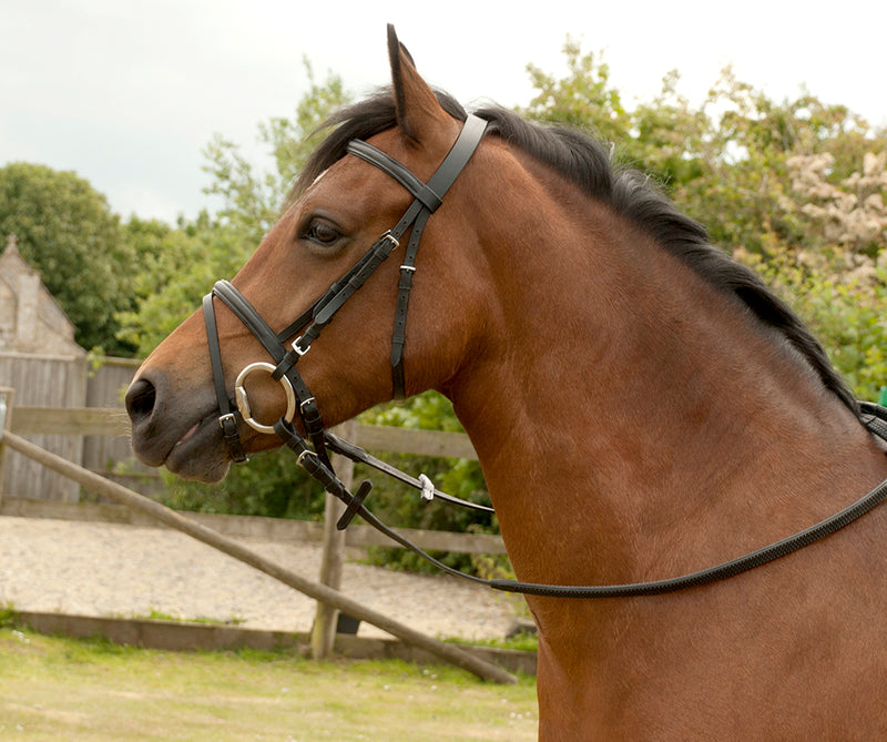 Windsor Equestrian Flash Bridle
