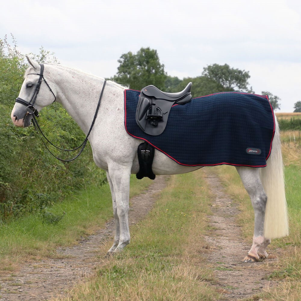 DefenceX Cool Control Exercise Sheet – The Spoilt Horse Company