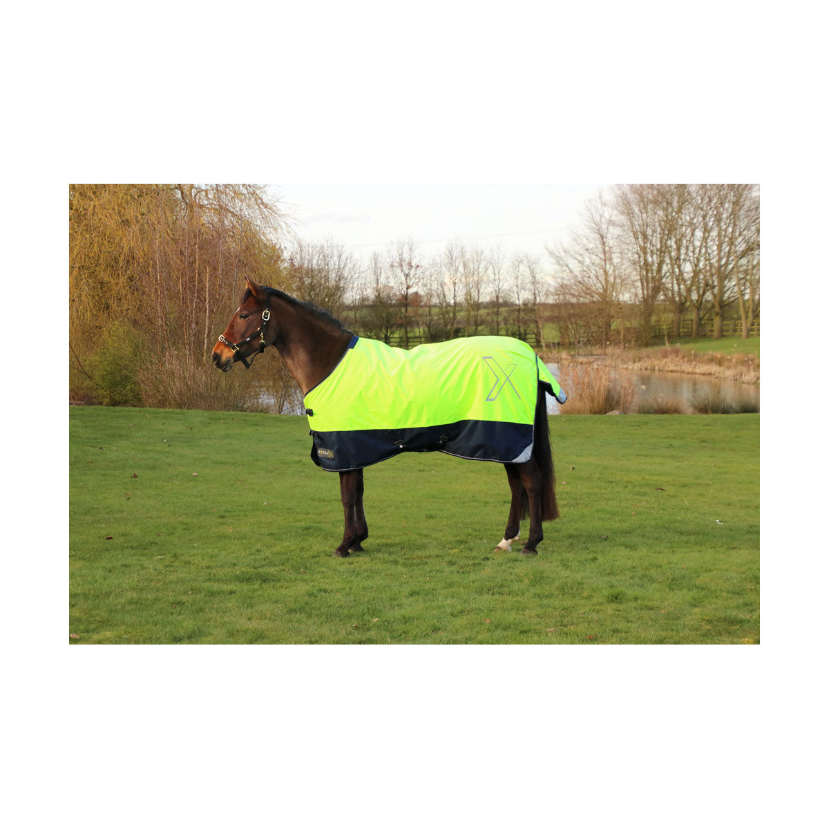 StormX Original 0g Reflective Turnout Rug – The Spoilt Horse Company