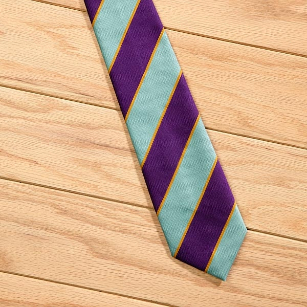 Elico Pony Club Coloured Stripe Tie