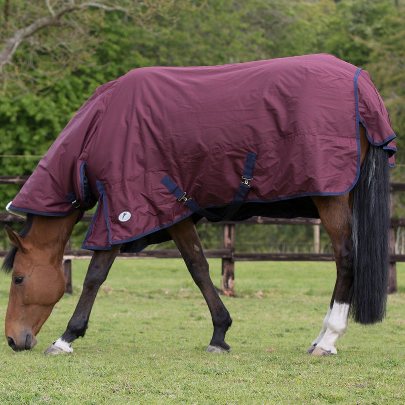 Jumpers Horse Line Essential Mediumweight Combo Turnout Rug