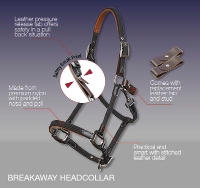 Lemieux Breakaway Head Collar
